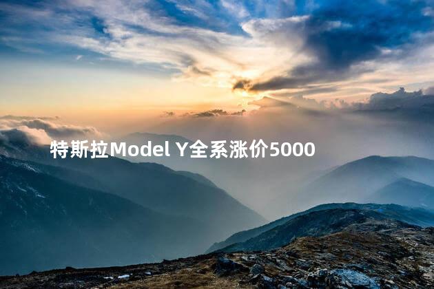 特斯拉Model Y全系涨价5000元